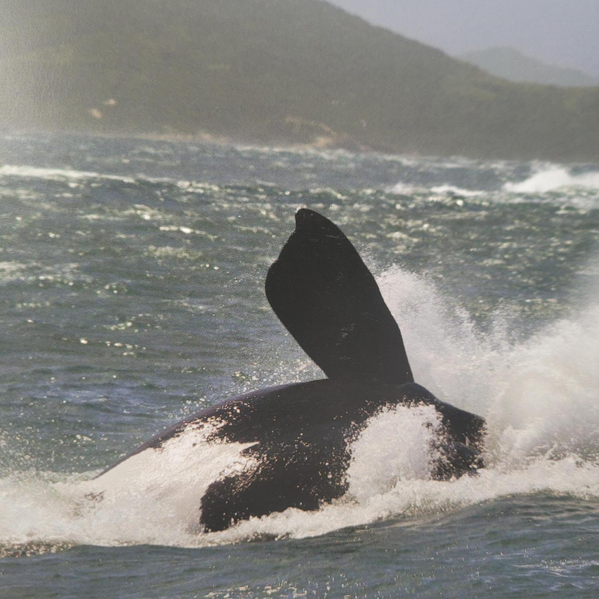 Pousada Paraiso 26 Imbituba  Luaran gambar